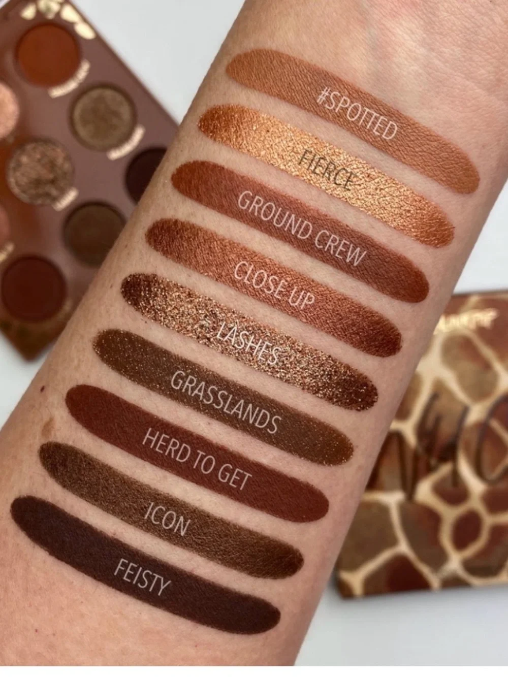ColourPop eyeshadow palettes Lust for Dusk, Boudoir Noir, Wild Child ✨used✨